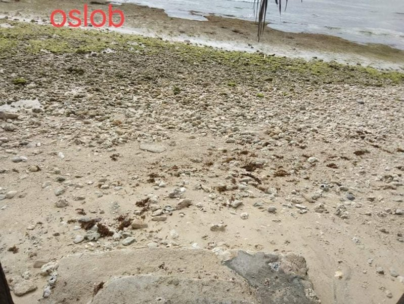 oslob beach lot -01