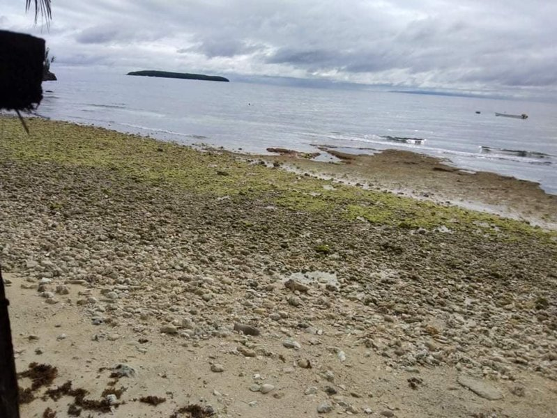 oslob beach lot -02