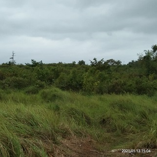 900/sqm Overlooking Land - Calaboon, Dumanjug, Cebu for sale in Cebu, Philippines