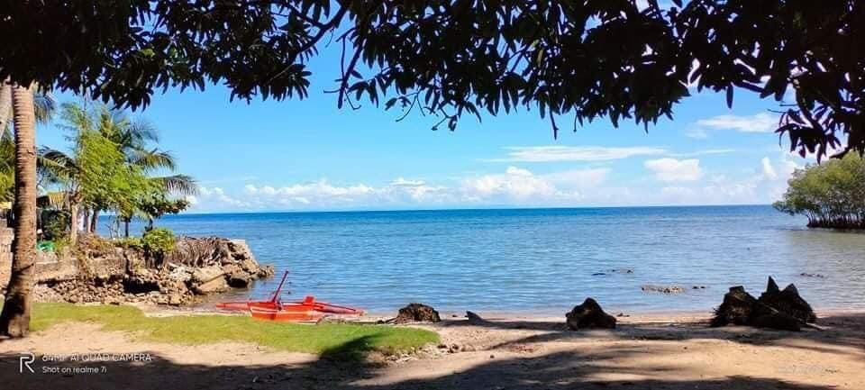 poblacion sogod -01