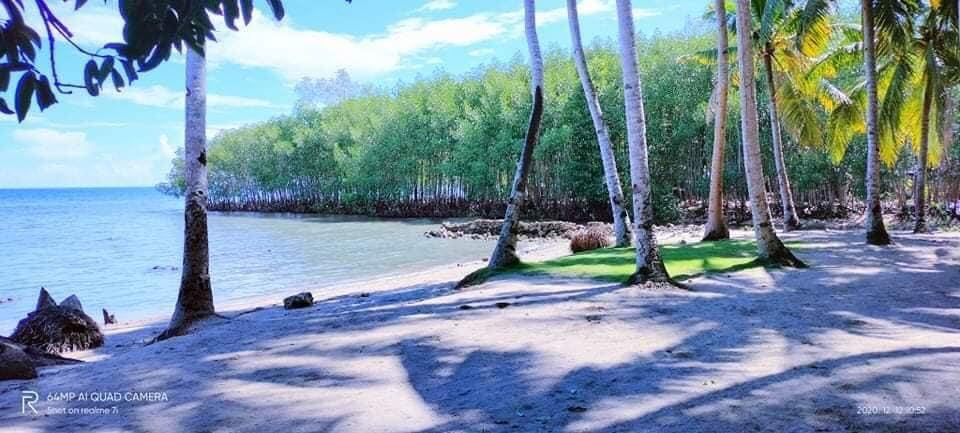 poblacion sogod -02