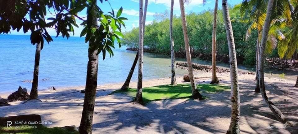 poblacion sogod -03