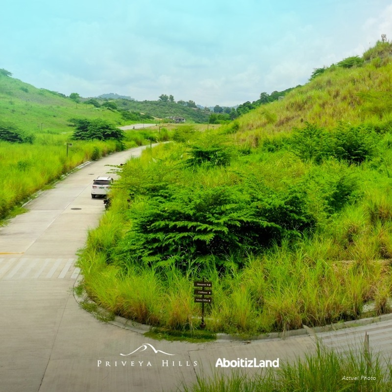 priveya hills -25