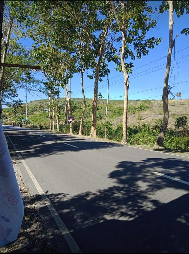 properties for sale along hiway ronda cebu - 02