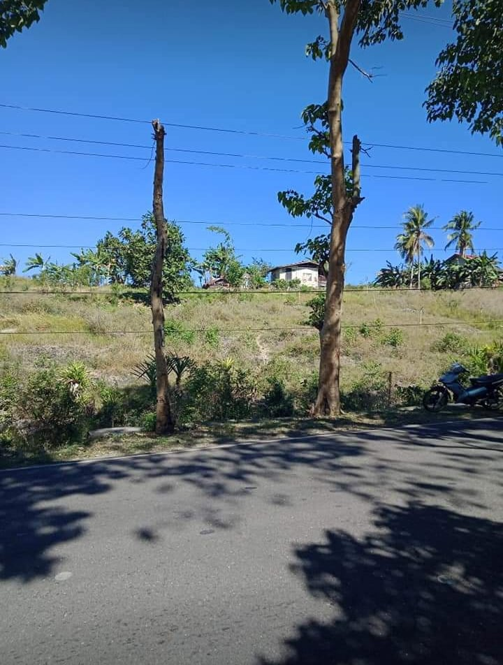 properties for sale along hiway ronda cebu - 03