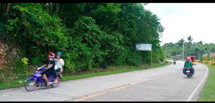 properties for sale along hiway ronda cebu - 05