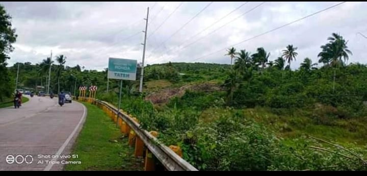 properties for sale along hiway ronda cebu - 06