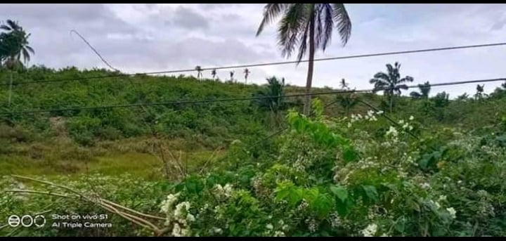 properties for sale along hiway ronda cebu - 07