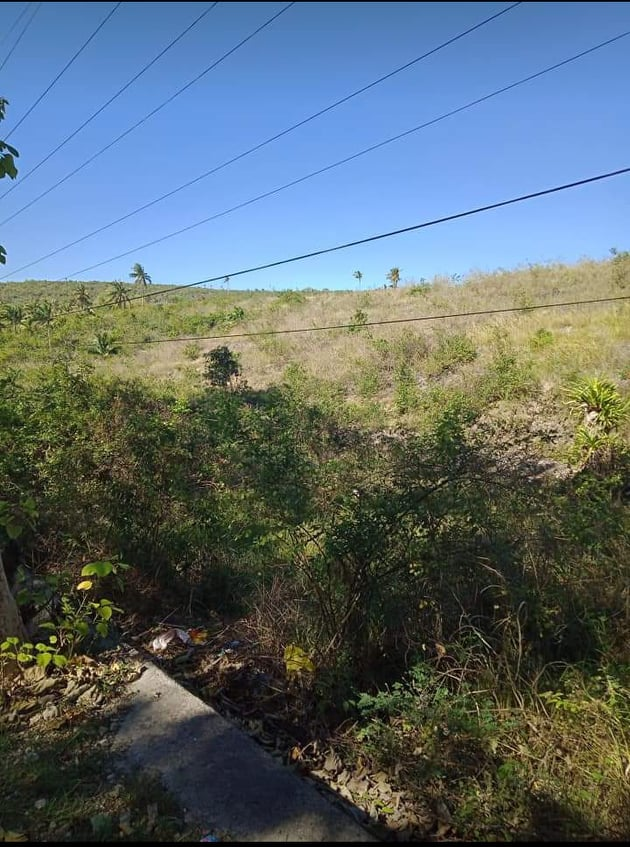 properties for sale along hiway ronda cebu - 09