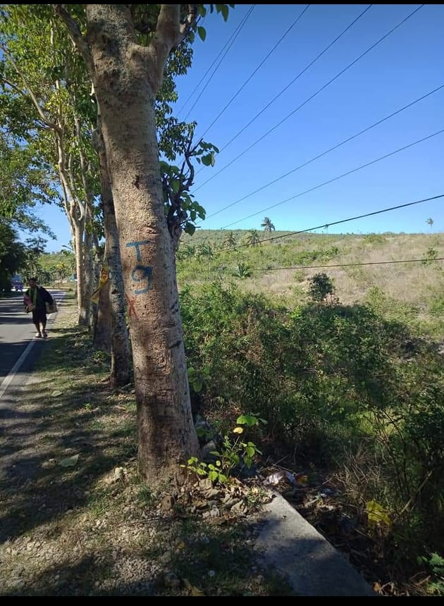 properties for sale along hiway ronda cebu - 10