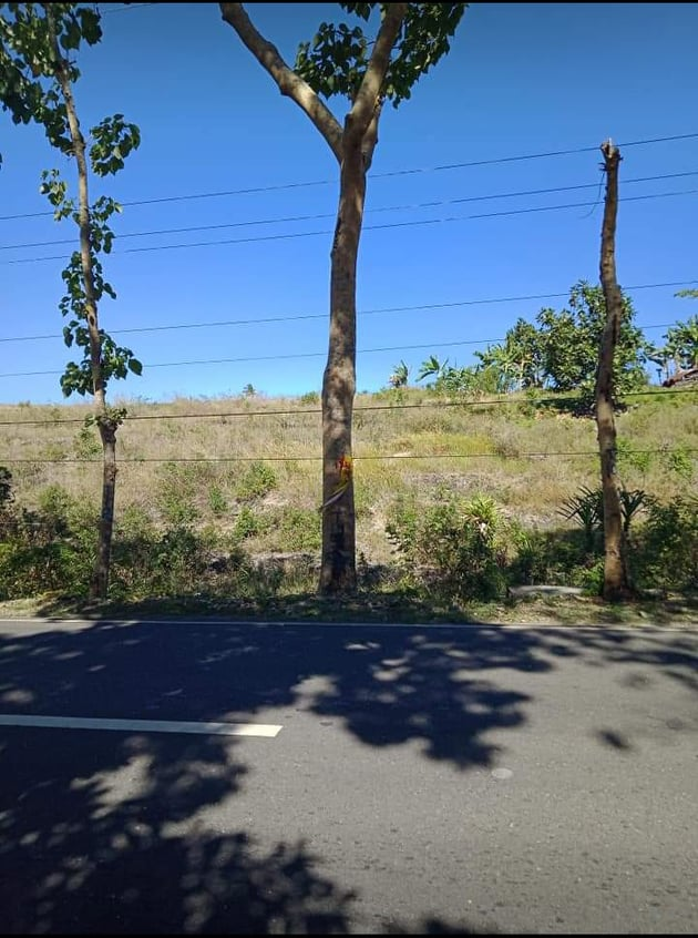 properties for sale along hiway ronda cebu - 11