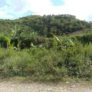 150/sqm Land for Sale - Sagay Awihao, Toledo City