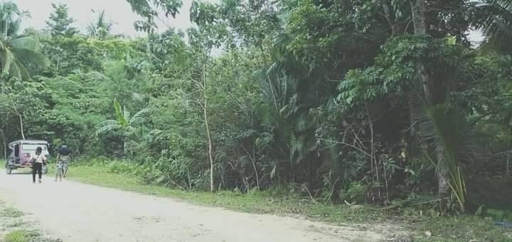 sagbayan bohol properties -01