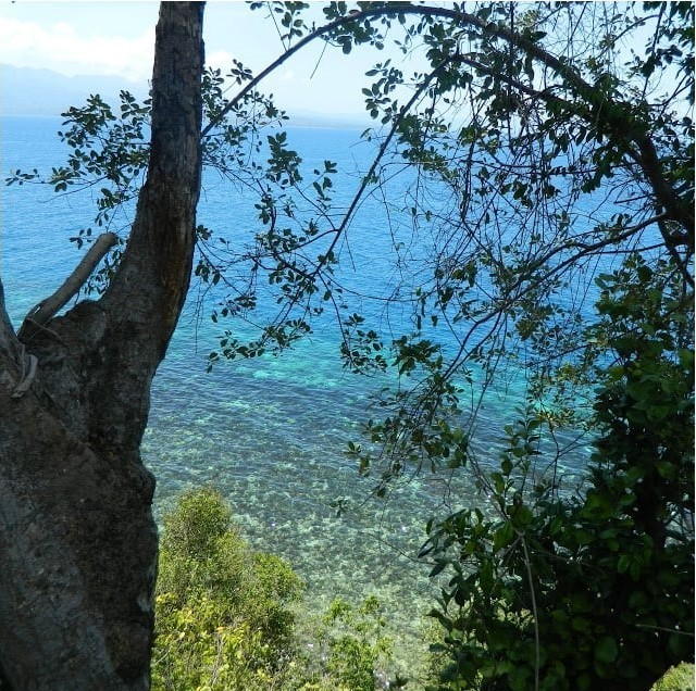 overlooking cliff property for sale in samboan cebu - 03