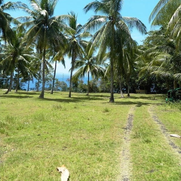overlooking cliff property for sale in samboan cebu - 06