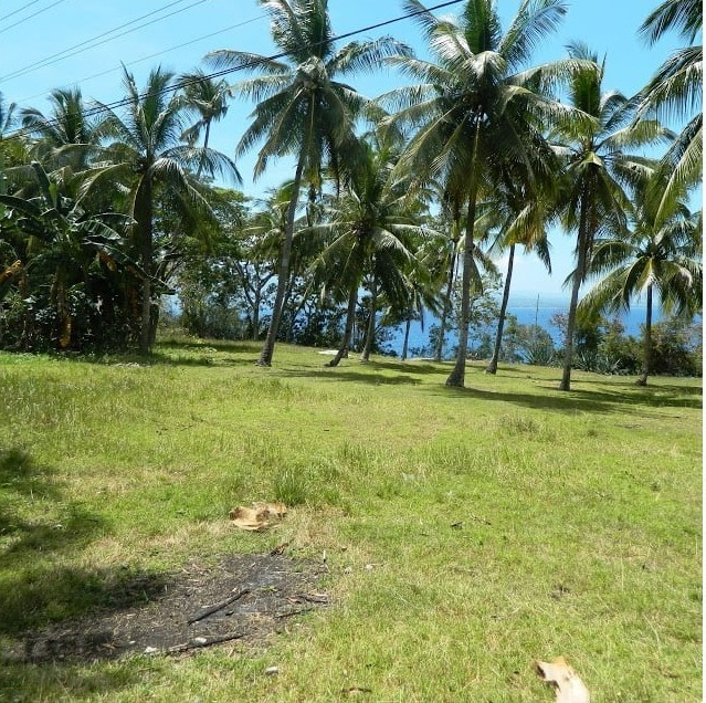 overlooking cliff property for sale in samboan cebu - 07