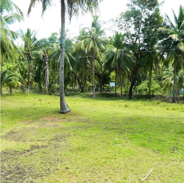 overlooking cliff property for sale in samboan cebu - 08