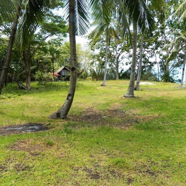 overlooking cliff property for sale in samboan cebu - 09