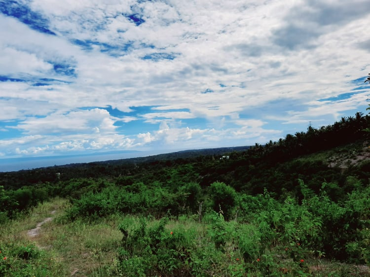 lot for sale san fernando cebu -04