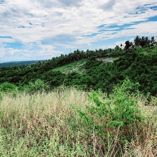 1,500/sqm Land for Sale - San Fernando, Cebu