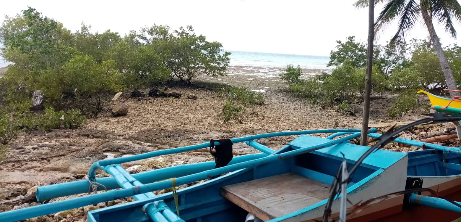 seafront dumanjug -04
