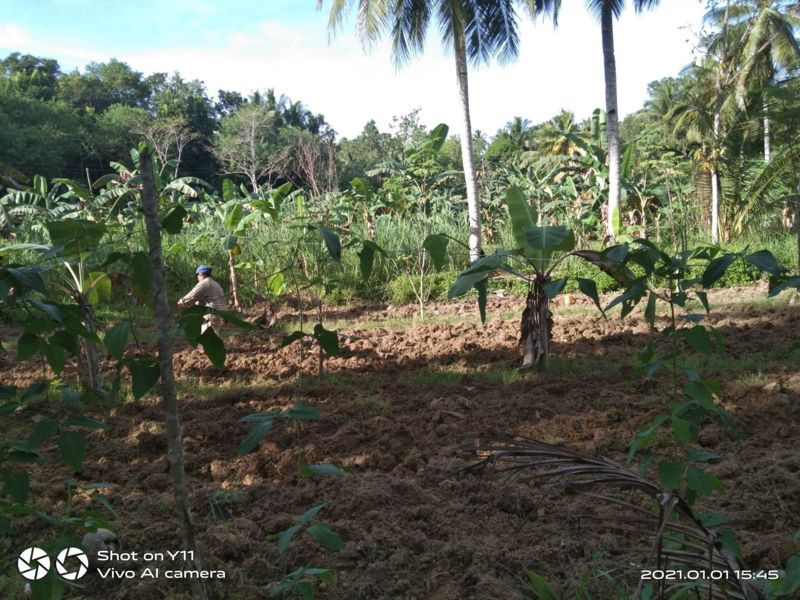 land properties for sale in sibonga cebu - 01