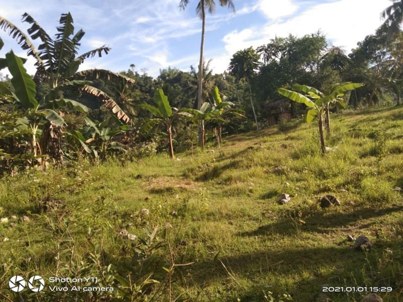 land properties for sale in sibonga cebu - 04