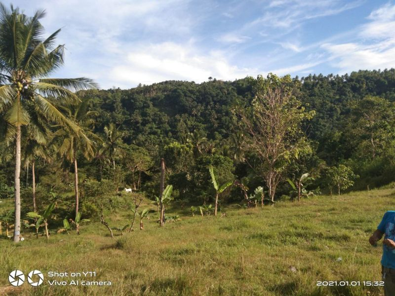 land properties for sale in sibonga cebu - 05