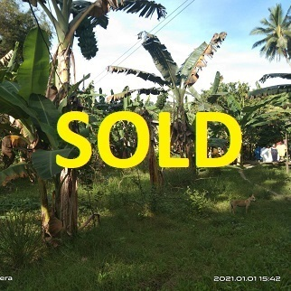 80/sqm Land for Sale - Sibonga, Cebu, Philippines