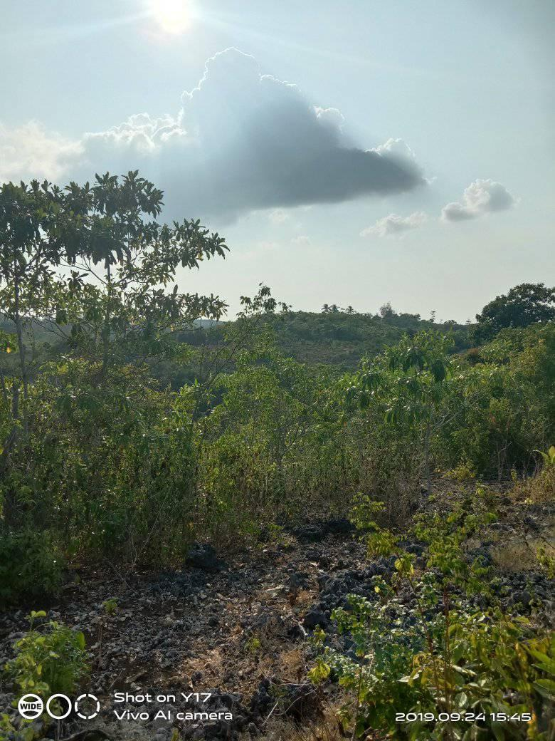 sogod properties -04