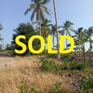 120/sqm Land for Sale - Sogod, Cebu, Philippines
