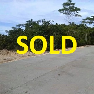 100/sqm Land for Sale - Sta Lucia, Asturias, Cebu