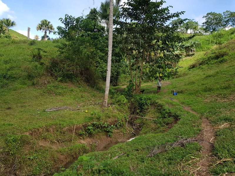 tabili -07
