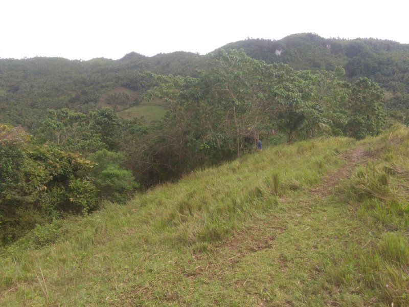tabili -13