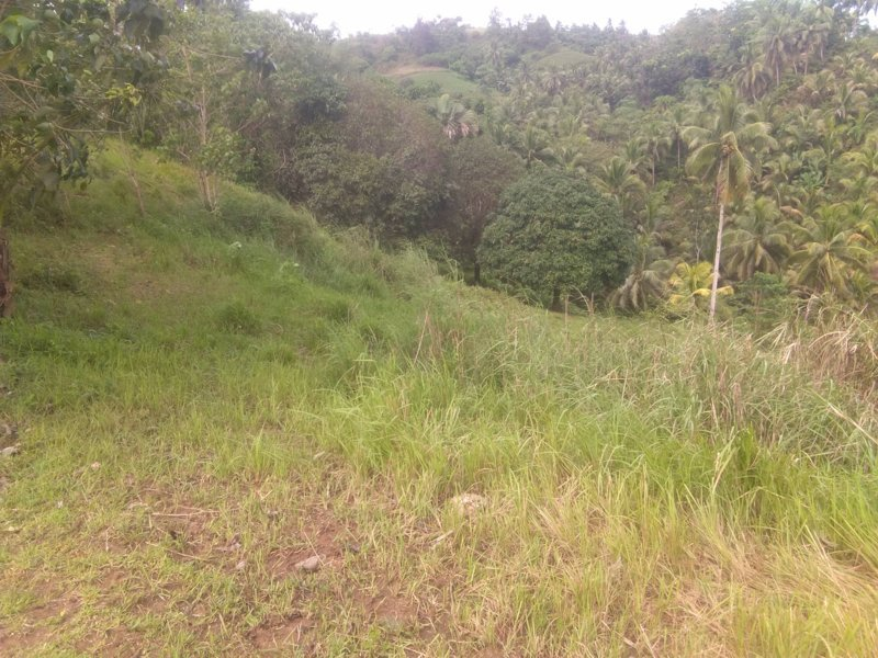tabili -14