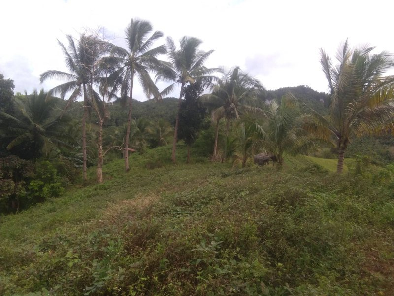 tabili -16