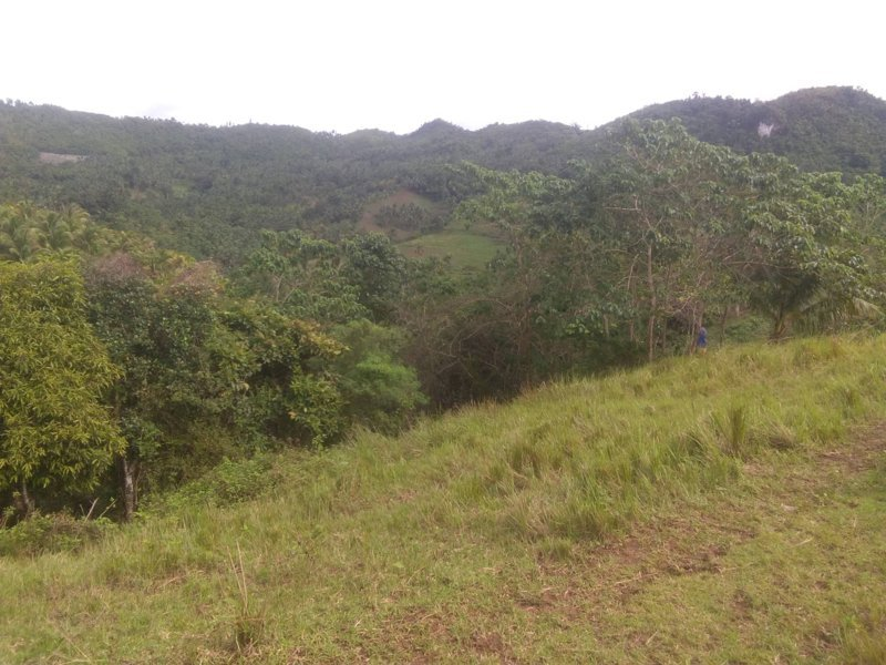 tabili -20