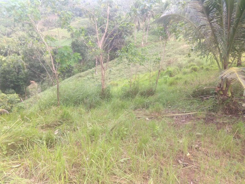 tabili -22