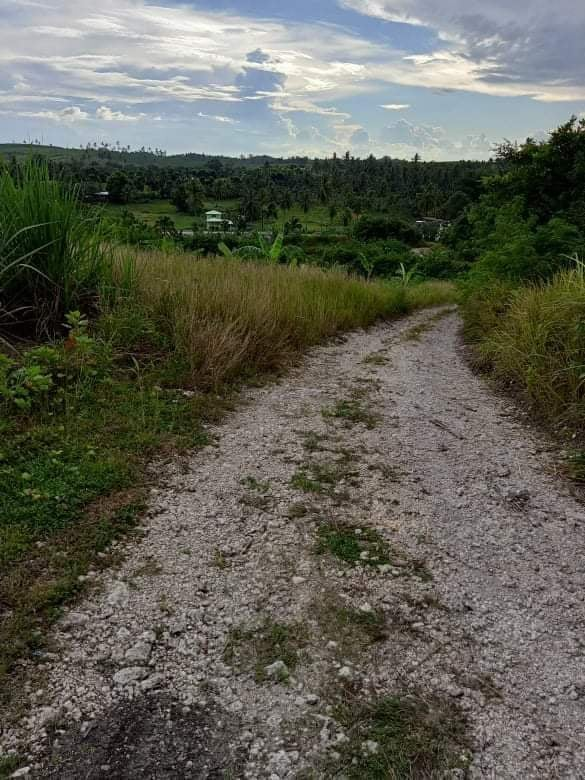 land properties for sale in tabogon cebu - 01