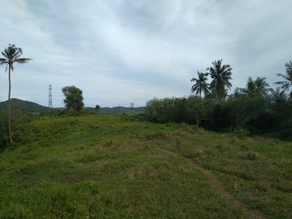 land properties for sale in tabogon cebu - 02
