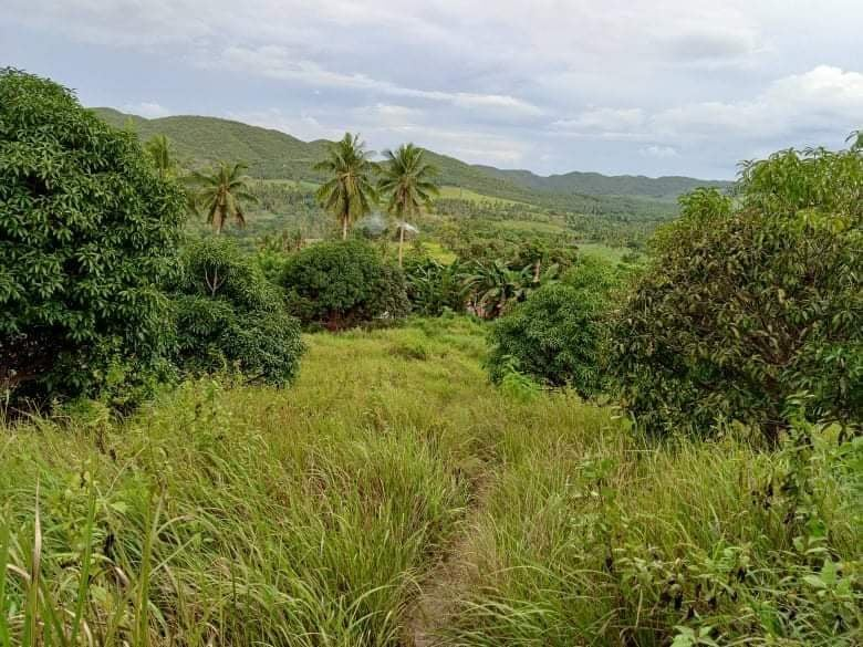 land properties for sale in tabogon cebu - 04