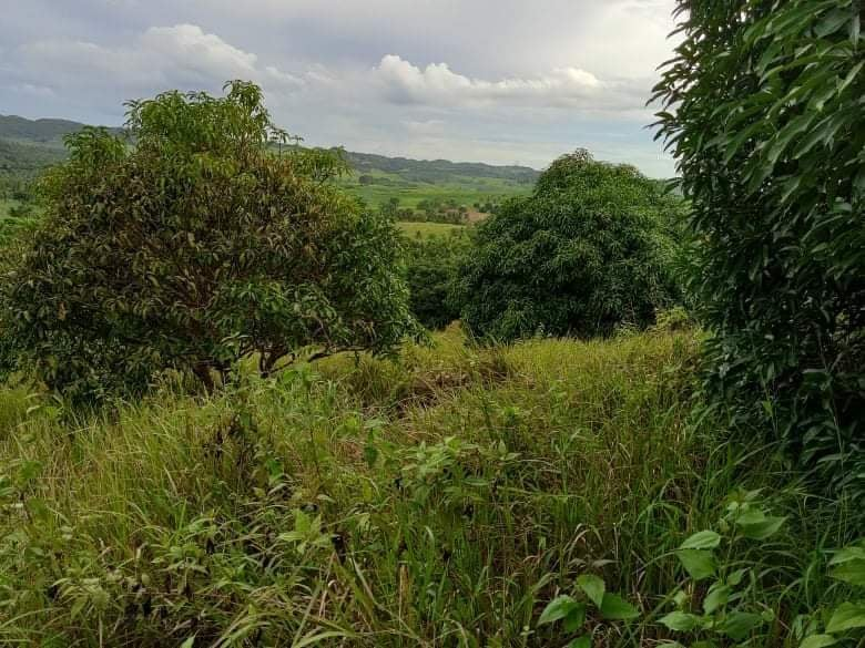land properties for sale in tabogon cebu - 05