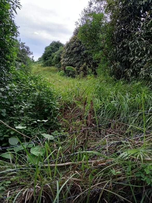 land properties for sale in tabogon cebu - 06