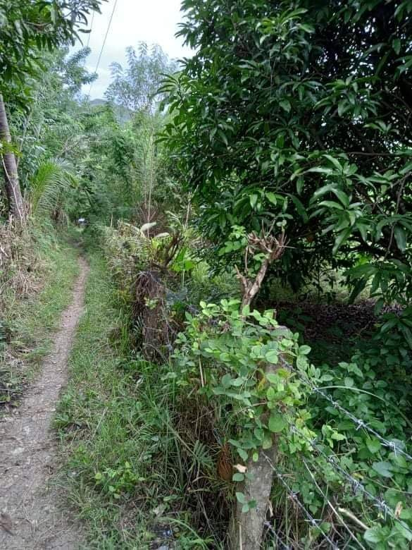 land properties for sale in tabogon cebu - 07