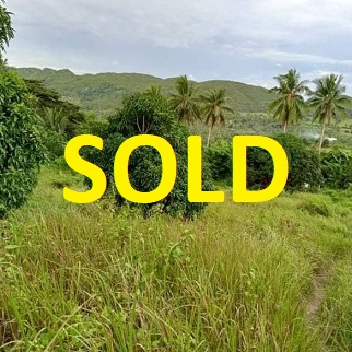 100/sqm Land for Sale - Tabogon, Cebu, Philippines