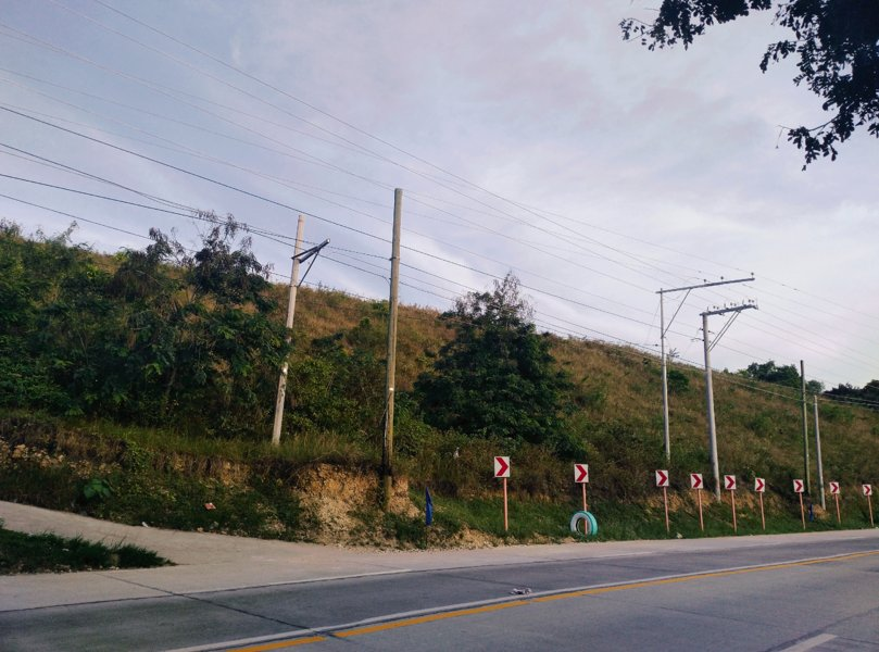 lot along hiway for sale in tabuelan cebu - 02