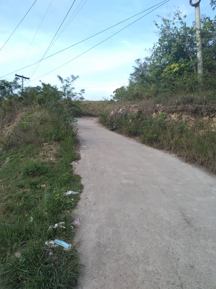 lot along hiway for sale in tabuelan cebu - 03