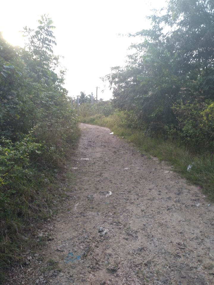 lot along hiway for sale in tabuelan cebu - 05