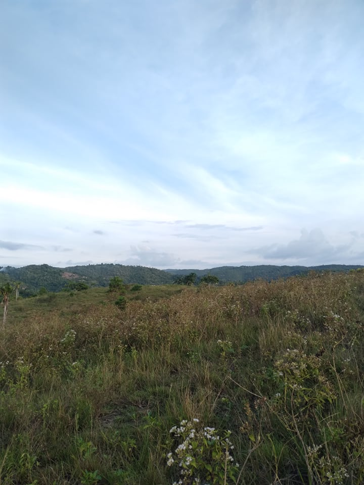 lot along hiway for sale in tabuelan cebu - 06