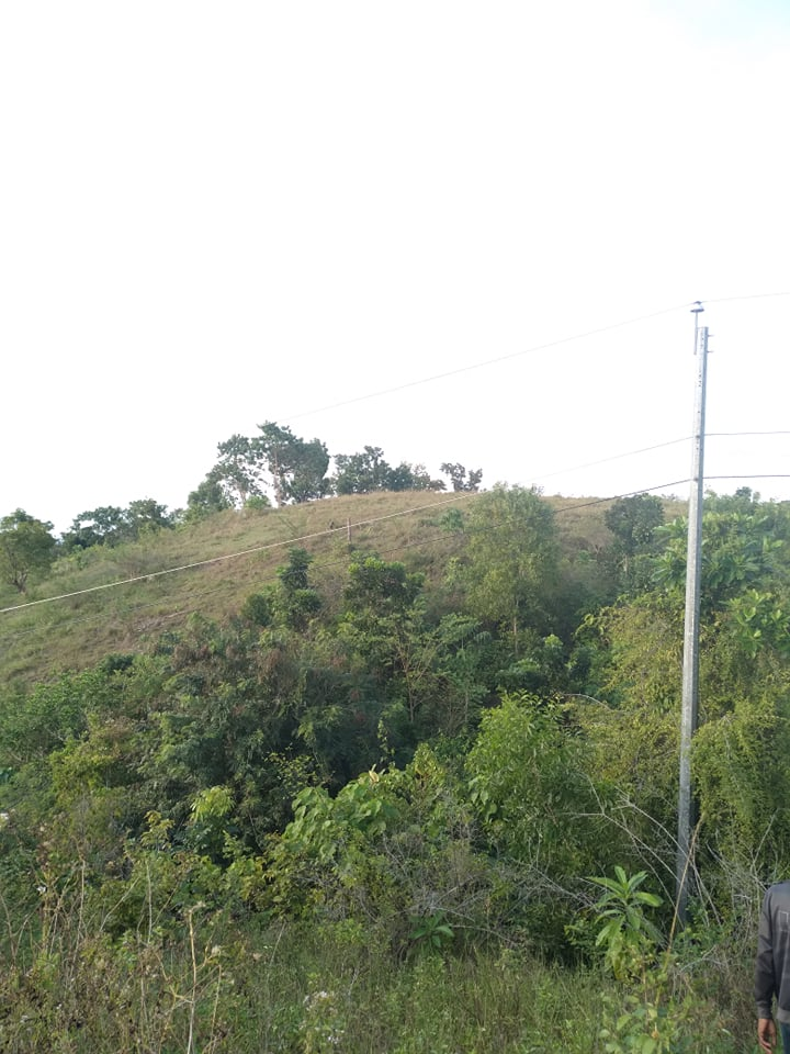 lot along hiway for sale in tabuelan cebu - 08